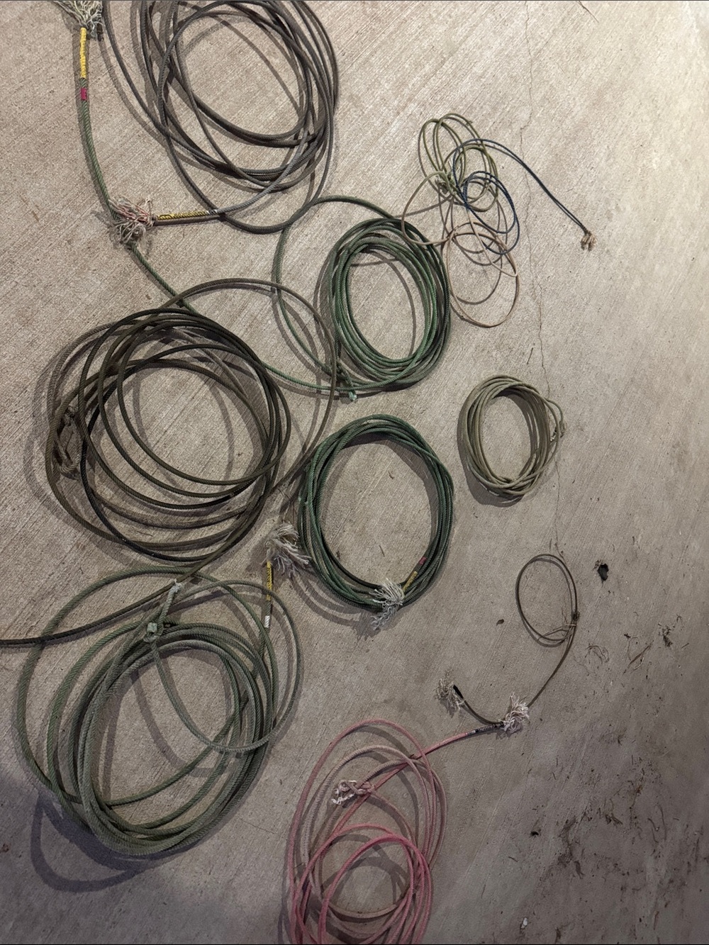 Cactus ropes  in Green and Pink some strings. No Hondo